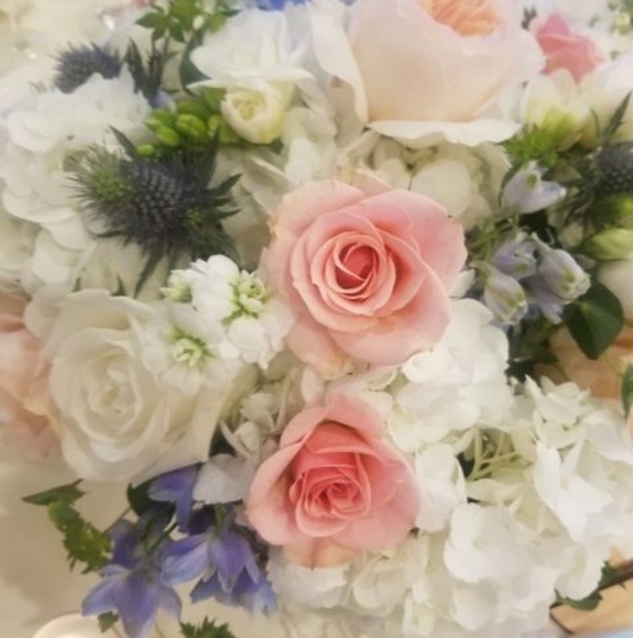 Meet your Posher, Jani - Picture 1 of 1